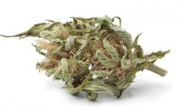 西藏近期爆料案件最新,真相渐浮水面，警方全力侦破