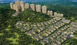 定州凤翔园的瓜最新爆料,最新瓜种揭秘！