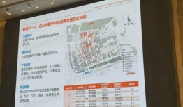 白云东平最新爆料,揭秘娱乐圈幕后真相