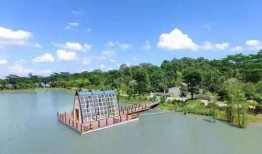 玉圭园最新爆料新闻,揭秘神秘项目背后的惊人真相