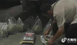 东营吃瓜最新事件爆料视频,最新爆料视频揭秘惊人内幕